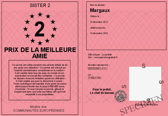 Test De Meilleure Amie De 12 Ans Prix-de-la-meilleure-amie