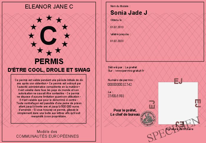 photo drole swag