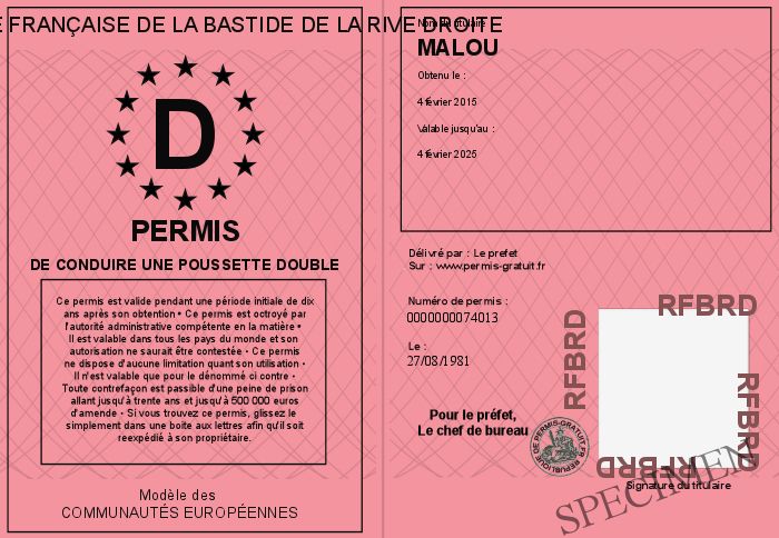 Faux Permis Permis De Conduire Vierge A Imprimer