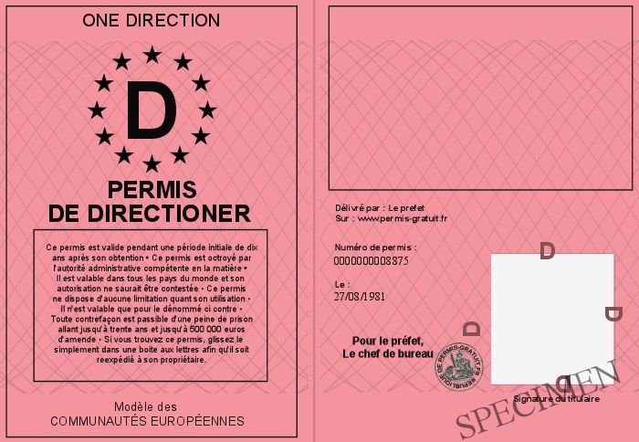 700-8875-Permis%20de%20Directioner%20.jpg