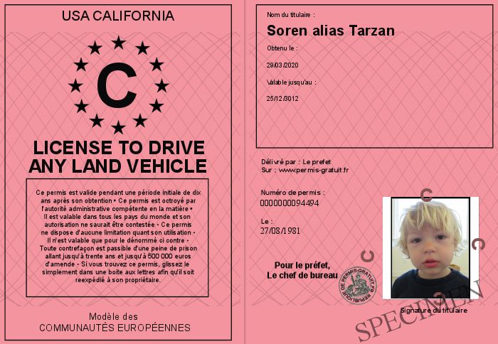 license-to-drive-any-land-vehicle