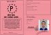 Permis de conduire