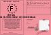 Permis de fter son enterrement de vie de fille