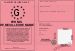 Permis de meiulleure mamie